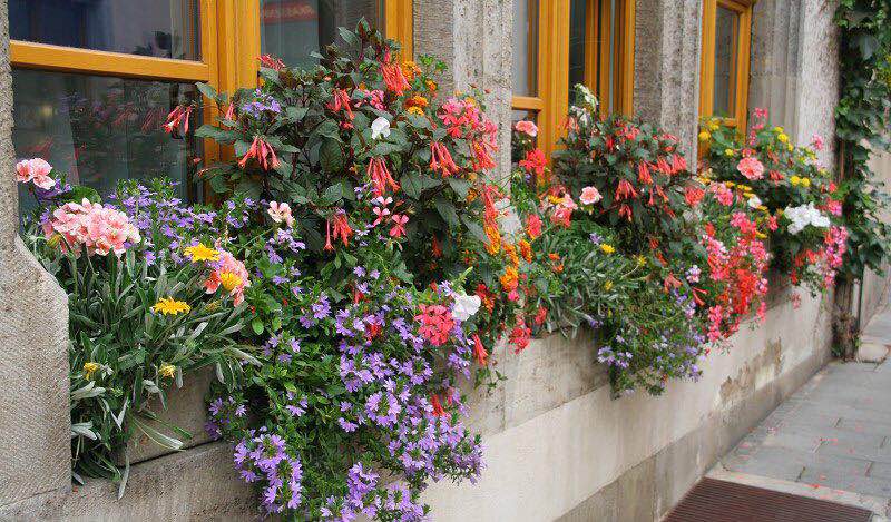 內(nèi)開(kāi)內(nèi)倒鋁包木門窗